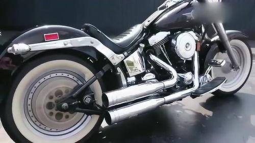 哈雷娜吃瓜,揭秘娱乐圈背后的秘密与真相