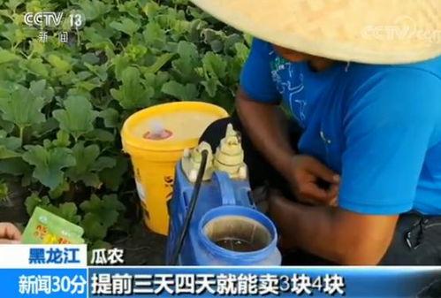 快穿嘎嘎吃瓜看戏,快穿世界，嘎嘎吃瓜，看尽人间百态