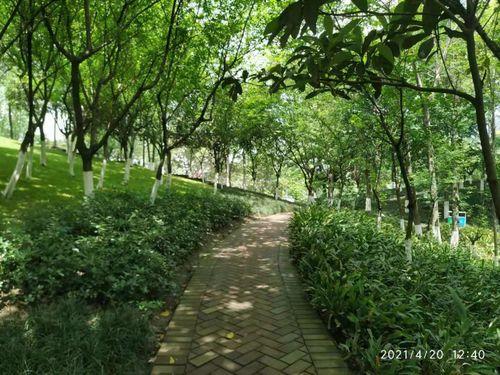 东湖公园吃瓜事件,一场引发热议的公共行为探讨