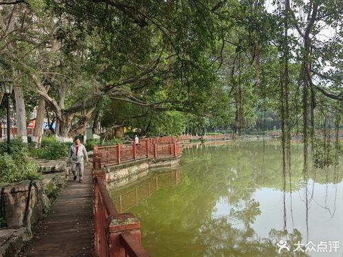 东湖公园吃瓜事件,一场引发热议的公共行为探讨