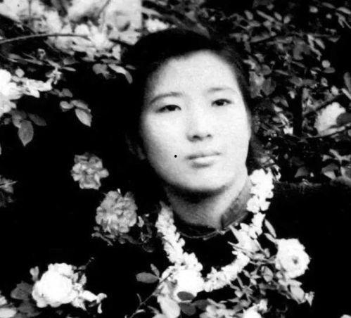 宋焰吃瓜,揭秘娱乐圈背后的秘密与真相