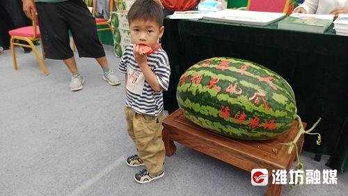 电商吃瓜,揭秘吃瓜群众的狂欢盛宴