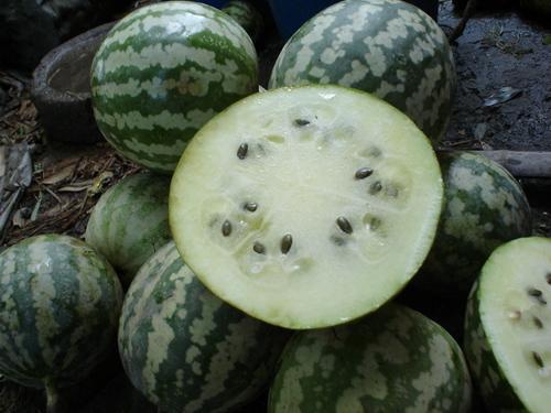 镇远丑瓜怎么吃,独特风味的多重食用攻略