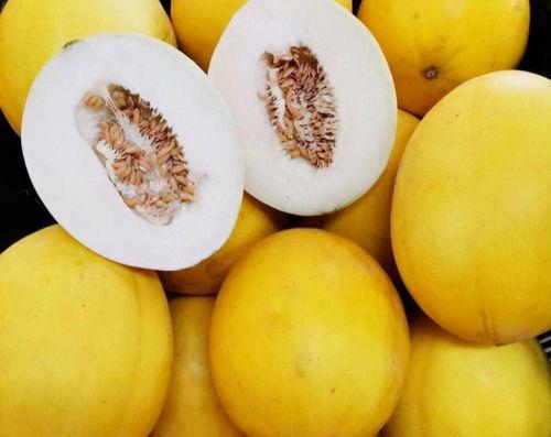 阜阳印象吃瓜,吃瓜群众的夏日狂欢