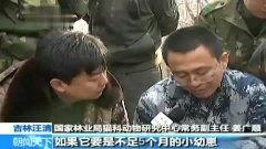 最新热点吃瓜视频大全,揭秘热点事件背后的真相