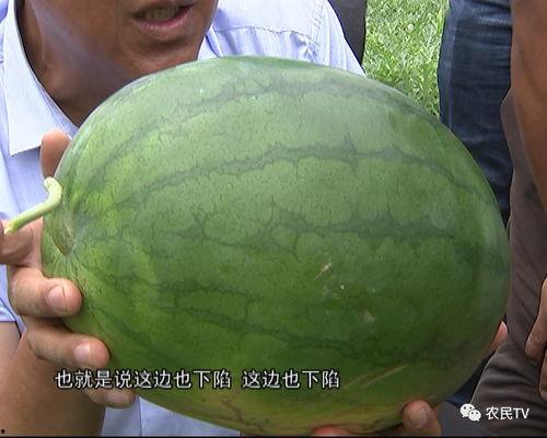 研究生 吃瓜,吃瓜文化背后的思考与启示