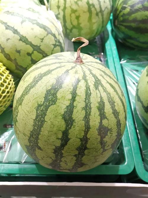 大瓜咋吃,教你如何轻松享用