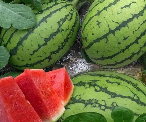 大瓜咋吃,教你如何轻松享用