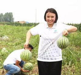 吃瓜博客,娱乐圈幕后故事大揭秘