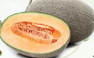 没吃哈密瓜,探寻新疆甜蜜果实的魅力