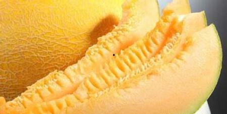 没吃哈密瓜,探寻新疆甜蜜果实的魅力