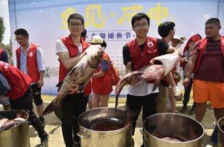 男大学吃瓜,揭秘男大学生吃瓜背后的故事