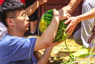 男大学吃瓜,揭秘男大学生吃瓜背后的故事