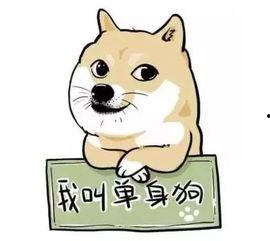 带你吃瓜逛街图片