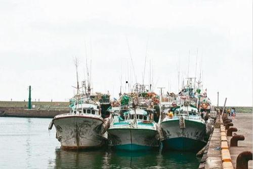 浙江吃瓜船靠近高雄,两岸互动新焦点