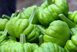 吃瓜姜,揭秘美食背后的故事与传奇