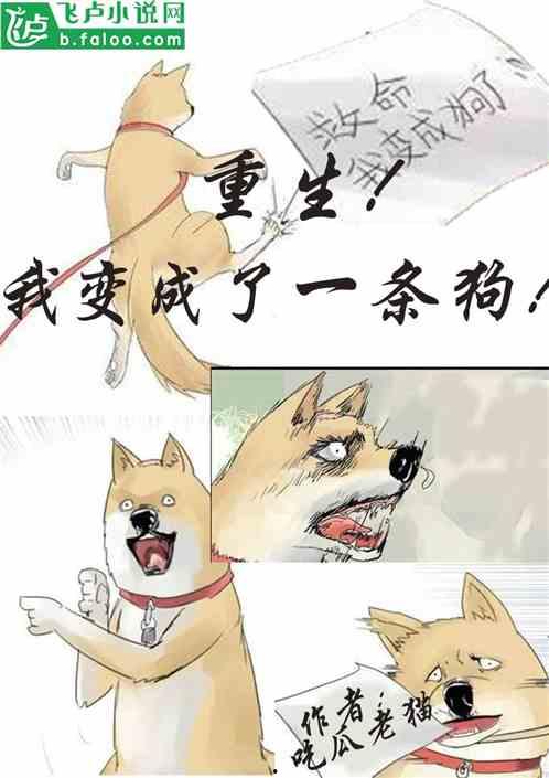 摩登吃瓜小说在线阅读