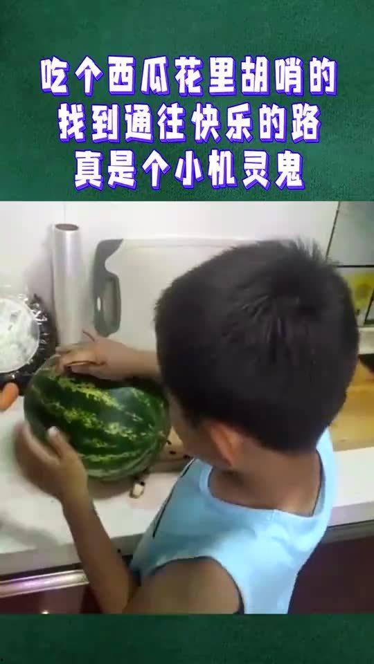 带你吃瓜花里胡哨,带你领略“吃瓜花里胡哨”的独特魅力