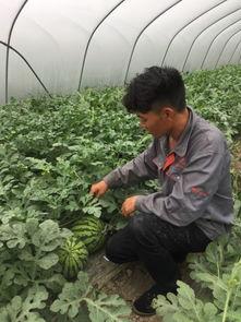 浙江绍兴医院吃瓜