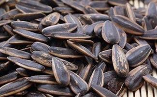 吃瓜可以吃瓜子吗,吃瓜也能吃瓜子？揭秘瓜果与瓜子的奇妙关系