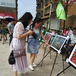 胶州吃瓜群众事件,一场网络舆论的风暴与反思