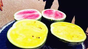 校园爆料吃瓜,揭秘校园里的那些“秘密”事件