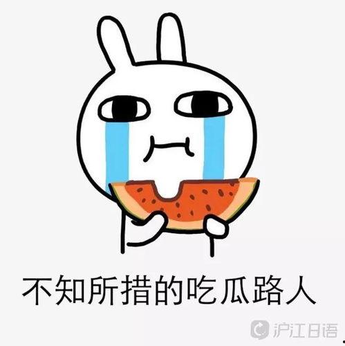 吃瓜需礼貌,文明观战的社交艺术