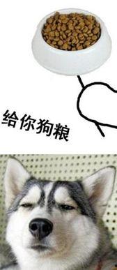 吃瓜狗粮,揭秘明星们的吃瓜狗粮日常