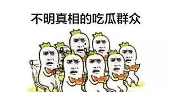 吃瓜狗粮,揭秘明星们的吃瓜狗粮日常
