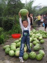 闲的没事吃瓜,揭秘娱乐圈那些不为人知的幕后故事