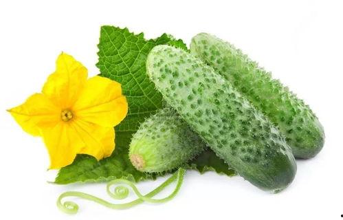 沈明珠吃瓜系统,揭秘娱乐圈幕后风云