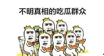 生活中吃瓜群众,吃瓜群众视角下的娱乐圈风云录