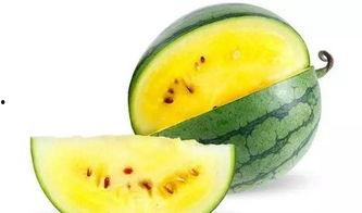 你们吃沙瓜还是脆瓜,口感对决，谁才是夏日消暑佳选？