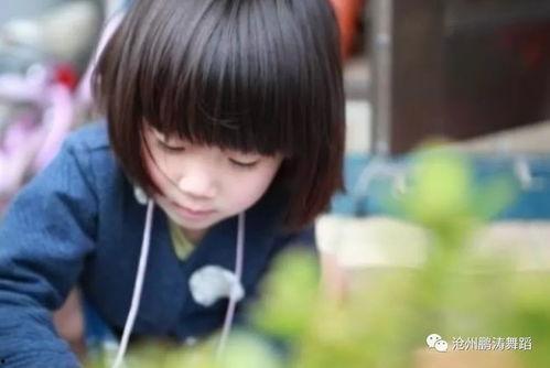 二萌老师吃瓜,揭秘娱乐圈幕后故事