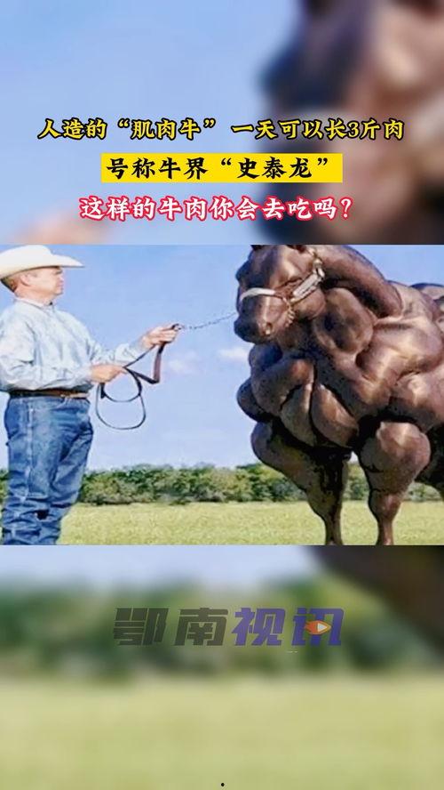 带你吃瓜神奇动物,带你探索神奇动物世界的奇妙之旅