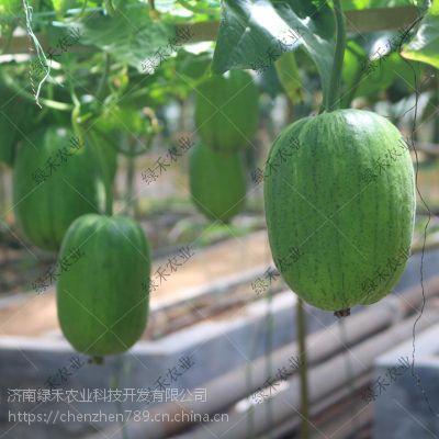 山东郓城商城吃瓜,夏日炎炎，吃瓜群众欢乐多