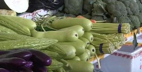 吃馅的瓜种子,探索传统美食的奇妙融合