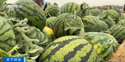 元禄现场吃瓜,一窥江户时代市井百态的“吃瓜”盛况