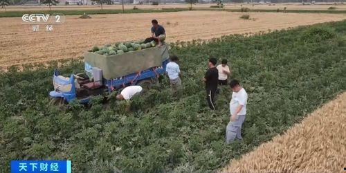 元禄现场吃瓜,一窥江户时代市井百态的“吃瓜”盛况