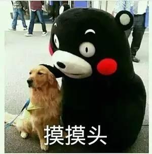 吃瓜 熊本熊,萌动全球的“瓜界网红”