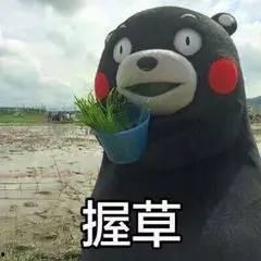 吃瓜 熊本熊,萌动全球的“瓜界网红”