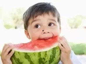 公举请吃瓜,揭秘娱乐圈的甜蜜诱惑与幕后故事