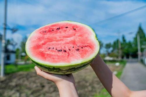 吃瓜著名打卡地,揭秘吃瓜群众的美食天堂