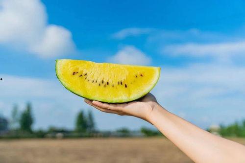 吃瓜著名打卡地,揭秘吃瓜群众的美食天堂