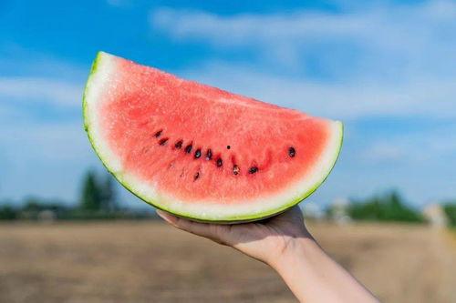 吃瓜著名打卡地,揭秘吃瓜群众的美食天堂