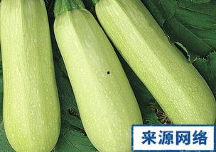 孕妇可用吃白瓜,白瓜助力健康孕育