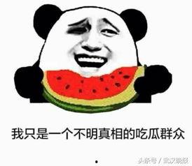 不做吃瓜群众还要,做生活的积极参与者