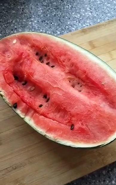 吃猫时可以吃茄瓜吗,茄瓜与猫咪饮食安全解析