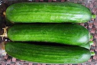 水果小乳瓜怎么吃,水果小乳瓜的多彩食法探索