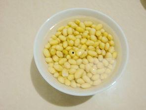 吃瓜系统糊豆,揭秘网络热点的幕后故事